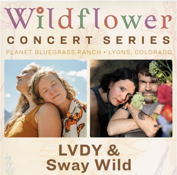 LVDY & Sway Wild